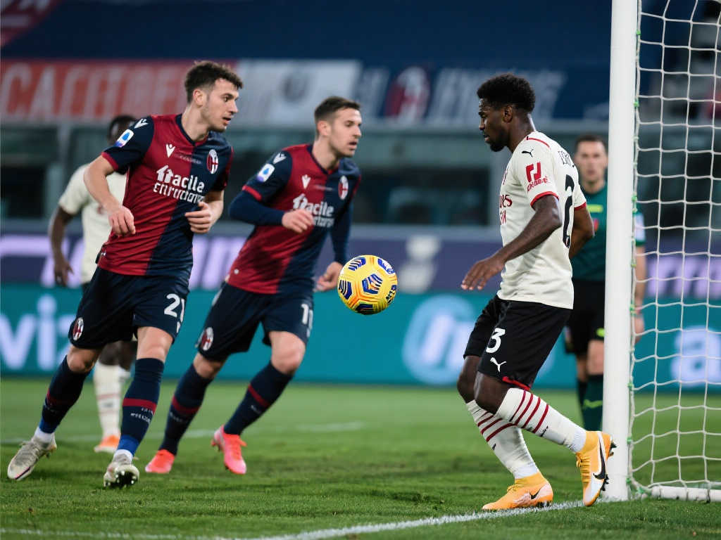 这一项目带 这一项目带